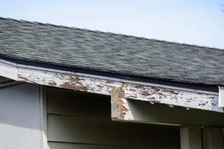 5 Common Reasons Paint Starts Peeling or Bubbling Thumbnail