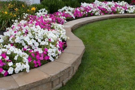 Flower Bed Maintenance Thumbnail