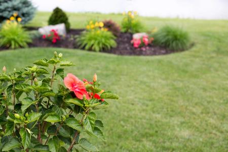 Landscaping Thumbnail