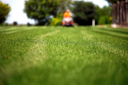 Lawn Mowing Thumbnail