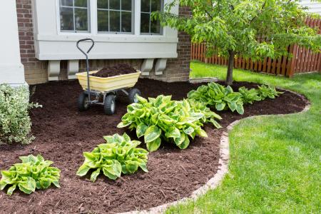 Mulch Installation Thumbnail