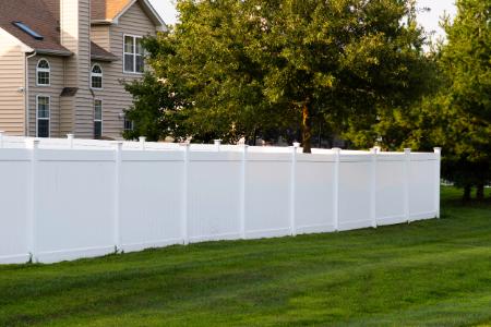Fence Painting