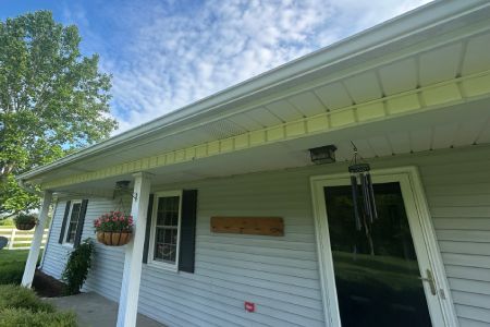Gutter Cleaning